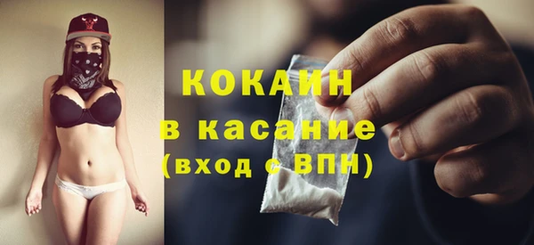 крисы Алексин