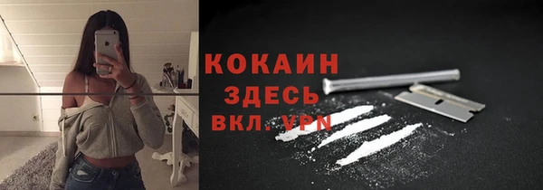 круглые Алексеевка