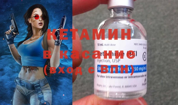 крисы Алексин