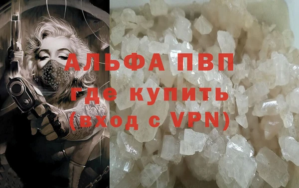 крисы Алексин