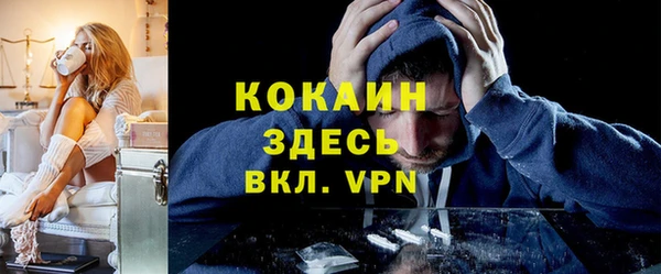 крисы Алексин