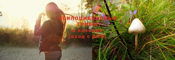 крисы Алексин